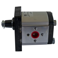 Pompa ad ingranaggi gruppo 226,40 CC sx