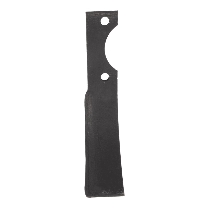 Zappa dx L 217,H 80,foro 10,5