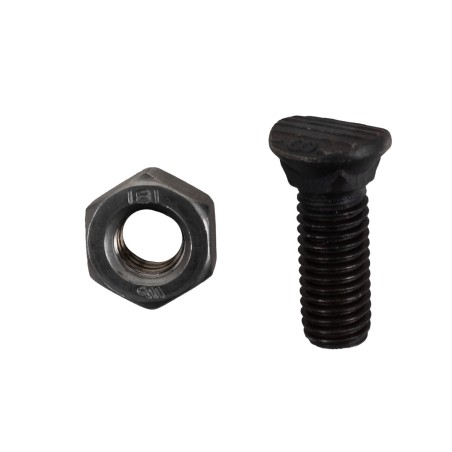 Bullone testa ovale M10x30 con dado