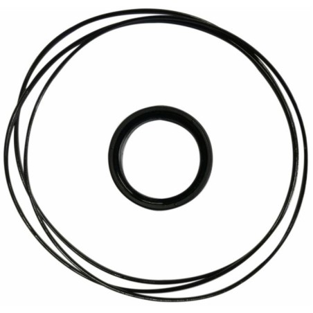 Kit guarnizioni completo per motori orbitali danfoss serie omm