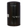 Battery Kit 3000 pompa elettrica per travaso gasolio portata 45L/min 12V